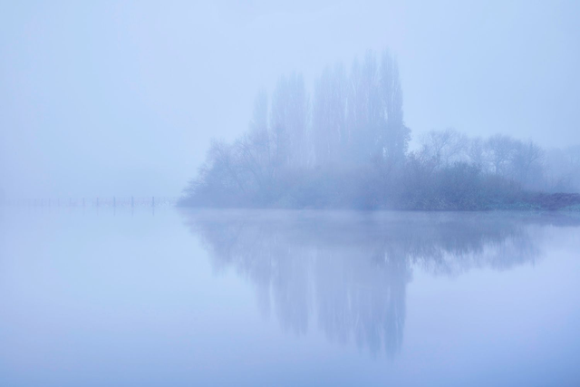 Misty Tree Reflection