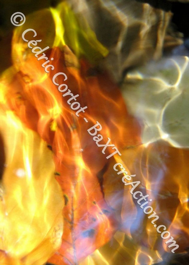 Carte postale - Reflets et cours d'Eau (Ref IMG_8323)