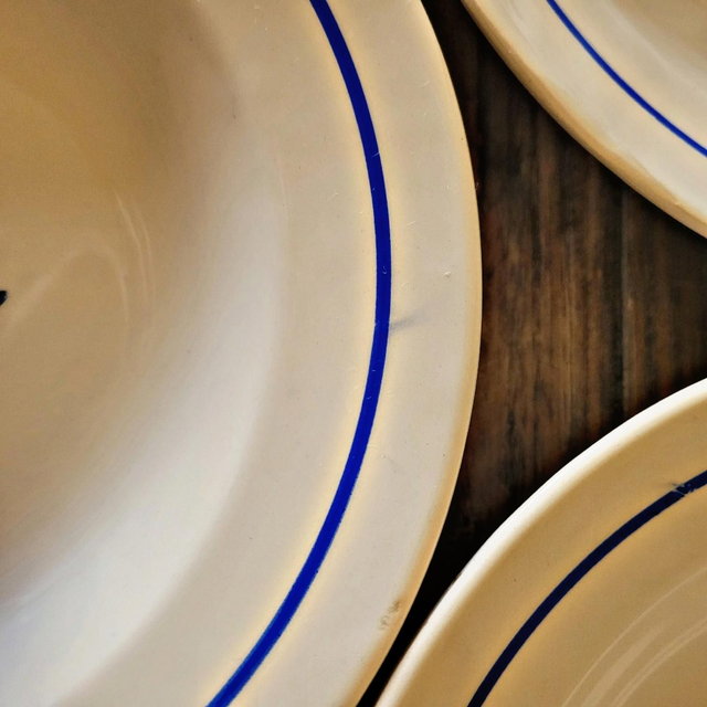 Assiettes creuses vintage faïence ADP, motifs de roses couleur bleu