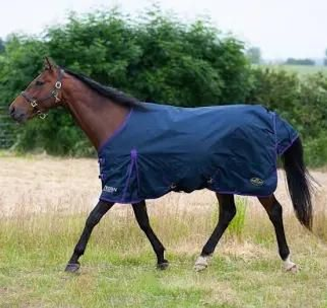 Gallop Trojan Lightweight Turnout Rug 0g