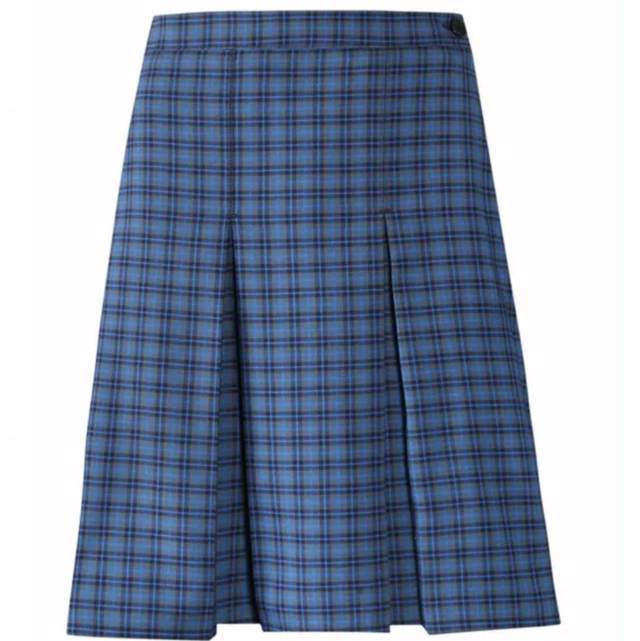 Girls Skirt