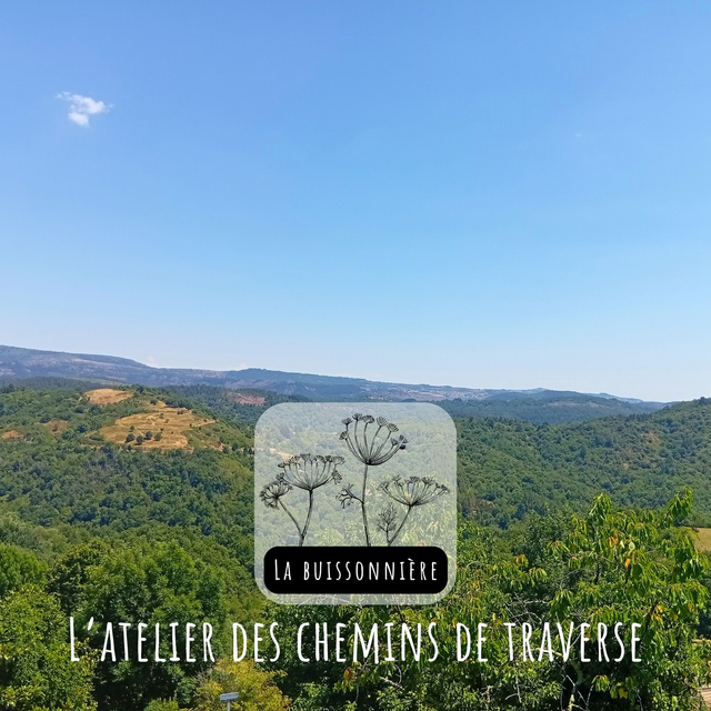 Écoprint - Atelier découverte