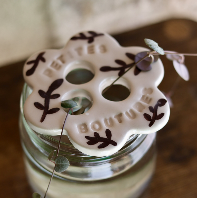 Disque de bouturage 🌱