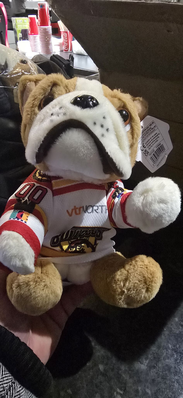 Bulldog teddy