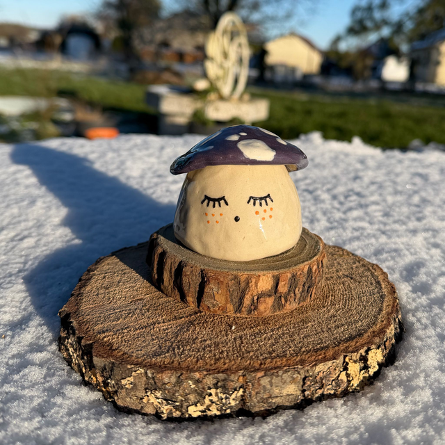 Champi dormeur violet