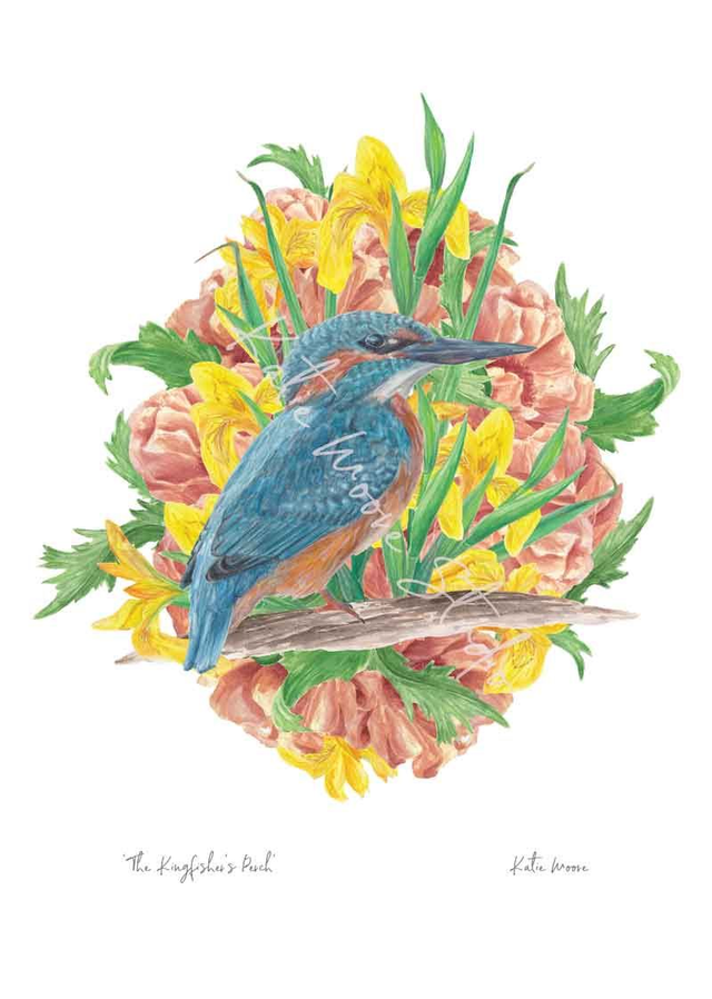 The Kingfisher's Perch