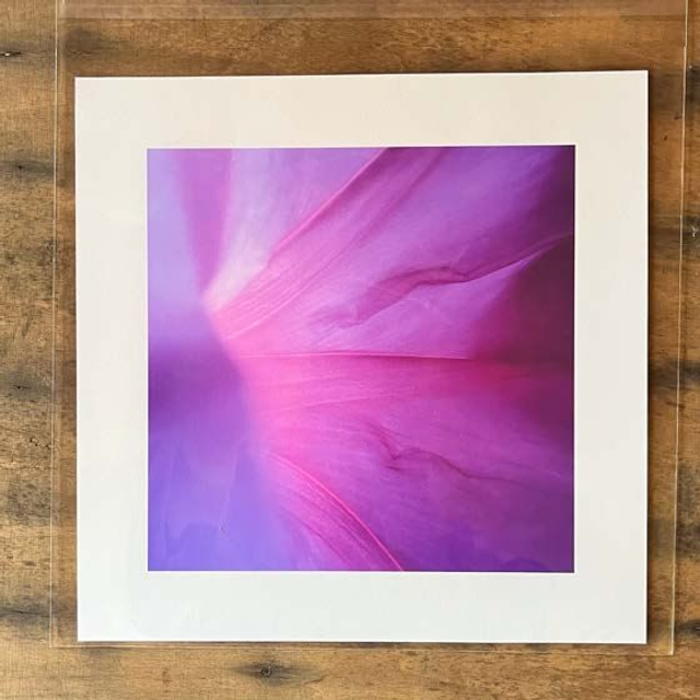 Cards by local artists