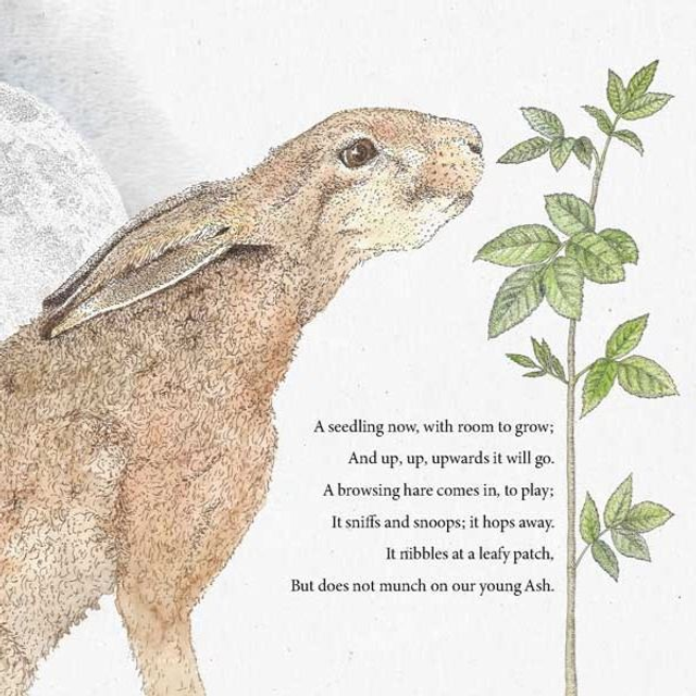 Book: The Tree That Held The Moon