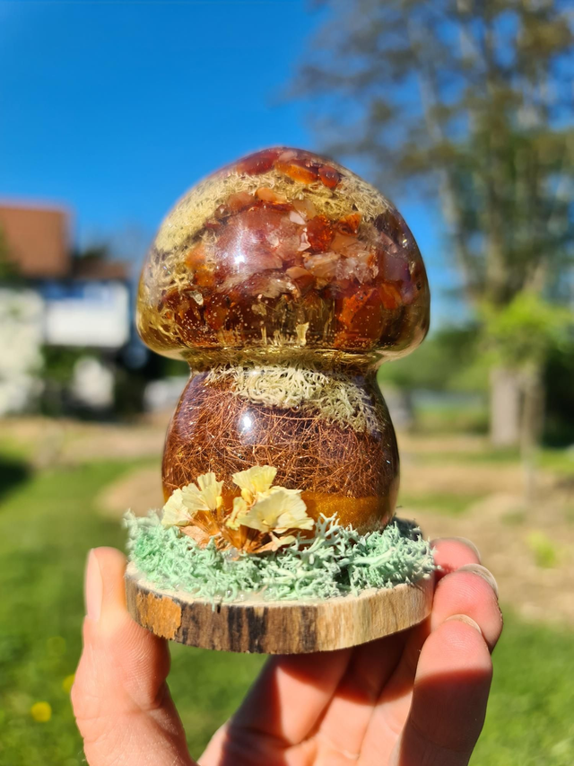 Champignon sacré Cornaline 🧡