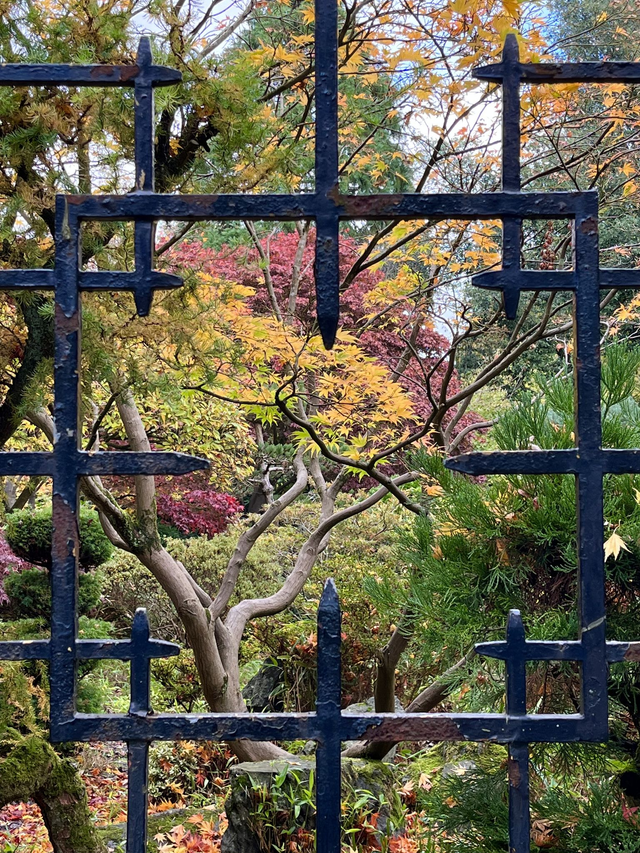 Looking through The Japanese Garden - Print 