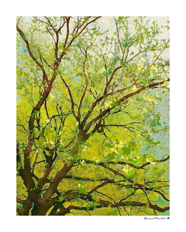 Arb15 - Latrium Jonas