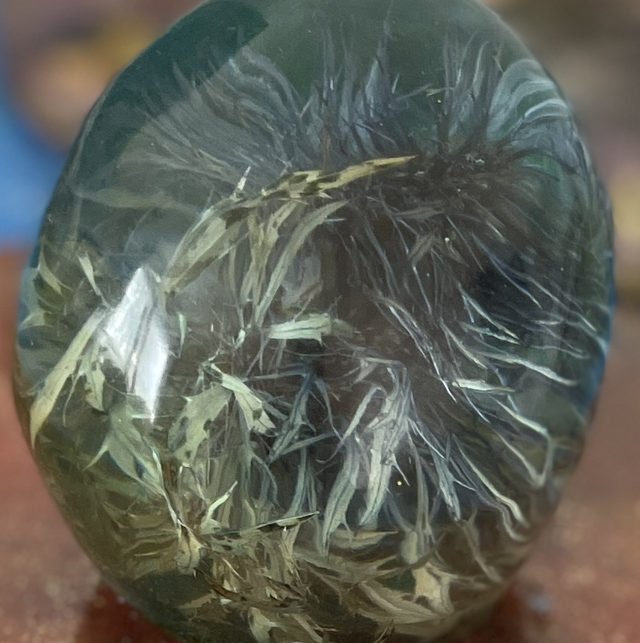 Dried Thistle Medium Resin Skull