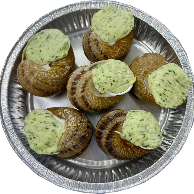 6 coquilles Surgelées