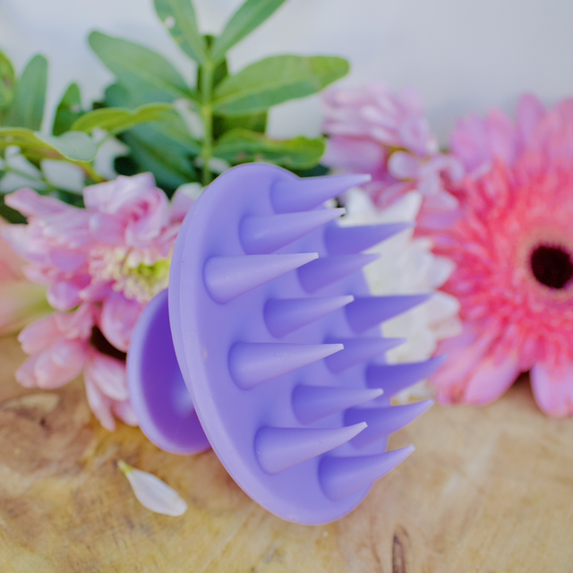 BROSSE MASSANTE