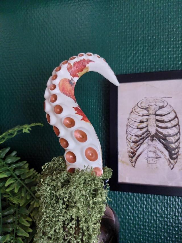 Tentacule automne déco pour plante