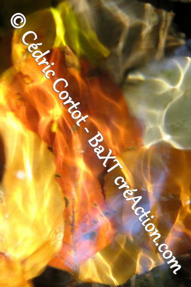 Impression sur alu dibond - Reflets et cours d'Eau (ref 8323)