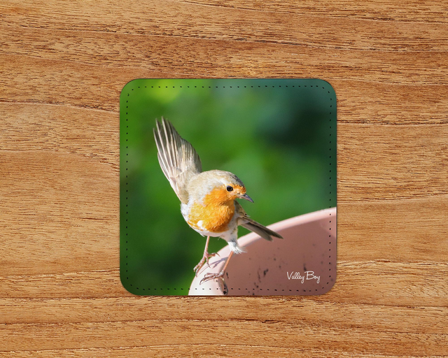 “Dancing Robby Robin” Coaster 