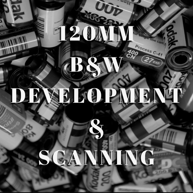 B&W 120mm film DEV & SCAN 
