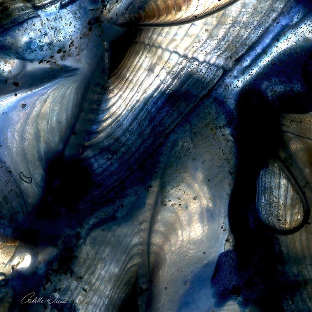 TOILE MURALE SATIN BLUE PLANCTON