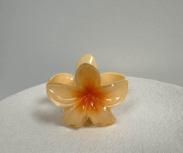 PINCE À CHEVEUX FLOR