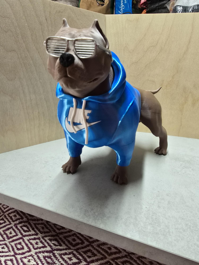 American Bully - Style Urban vibes