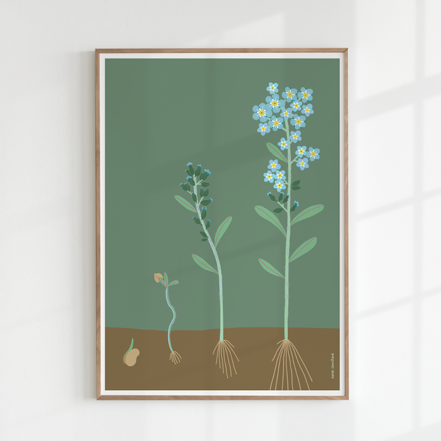 Florissante - Affiche