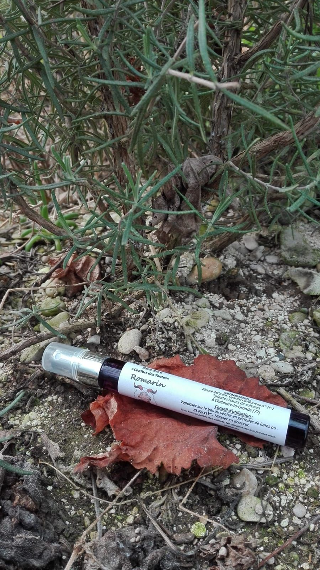 MACERAT ALCOOLIQUE de Romarin [BIEN−ETRE pour les FEMMES] vap 10ml