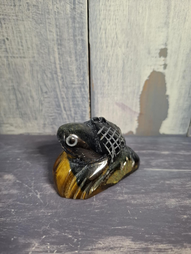 Blue Tiger's Eye Lizard 