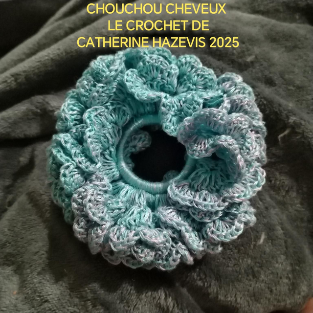 2025 CHOUCHOU CHEVEUX 