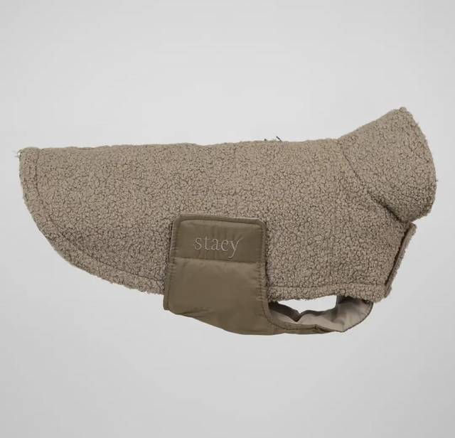 Hundemantel Teddy - Farbe Taube - Staey