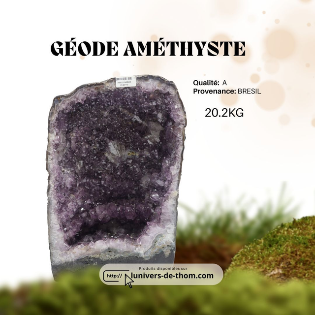Géode Améthyste Brésil A - 20.2KG