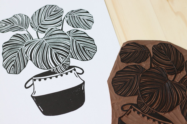 Linogravure A4 Calathea Orbifolia - Linogravure plante