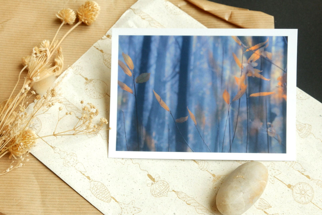 Carte postale photographie S "Les feuilles oranges"