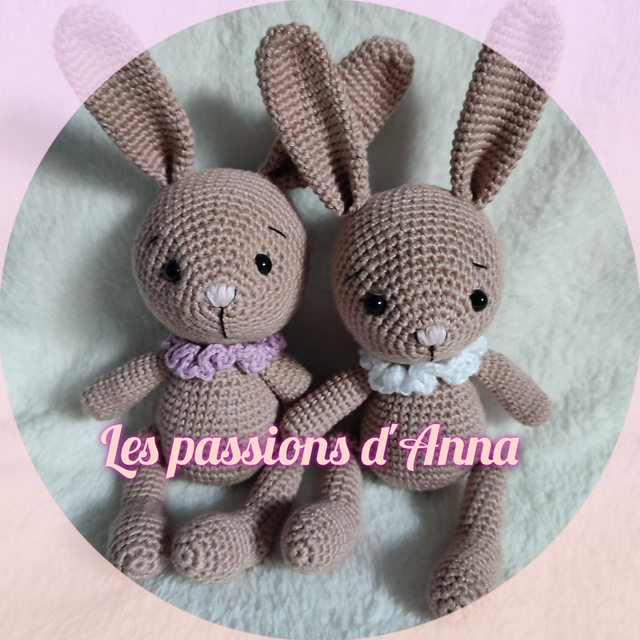 Cooky le petit lapin