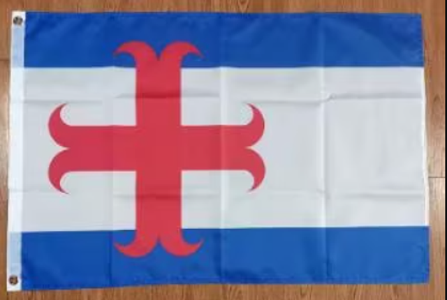 Grote vlag Zutphen (150x90cm)