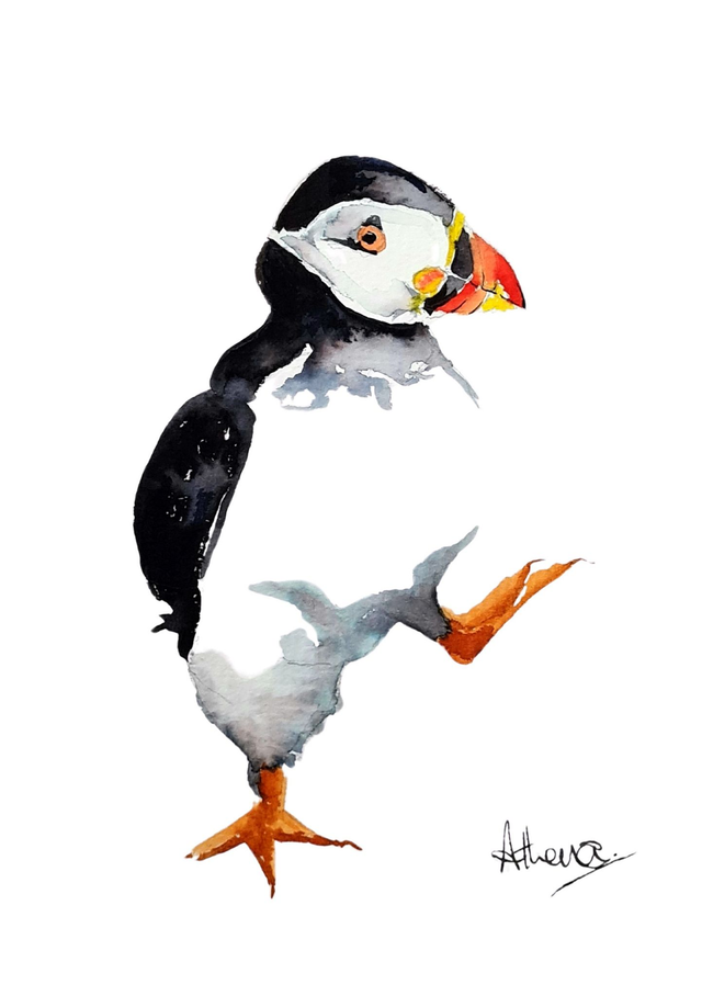 Stomping Puffin