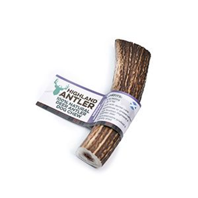 Deer Antler
