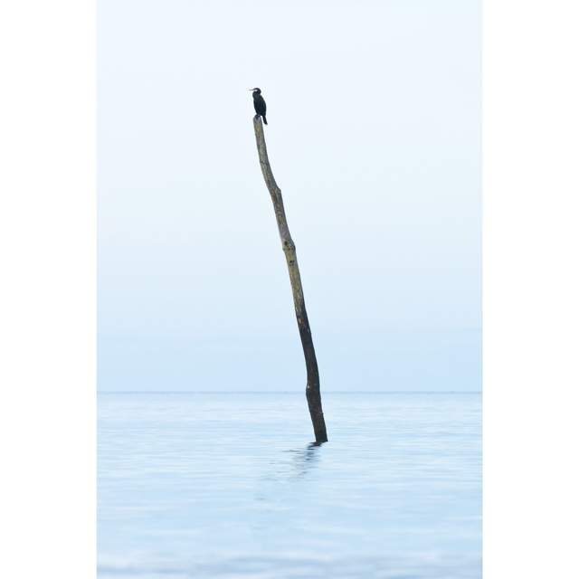 Trait noir sur fond blanc