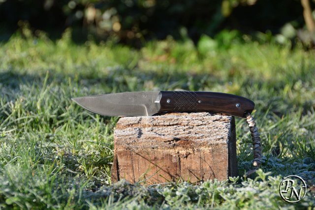 Petit chasse Ebène des Philippines 