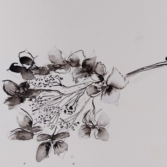 Thursday Watercolour, Pen and Ink Class