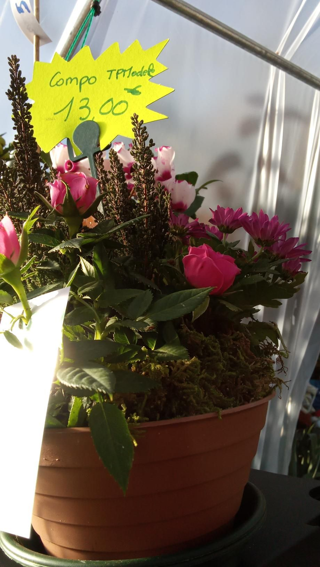 Mini compo 3p diam14,5