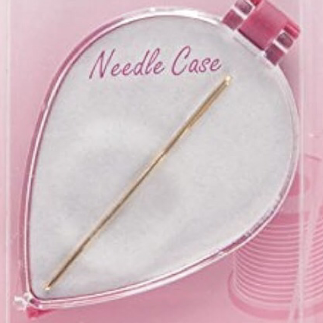 Magnetic Needle Case