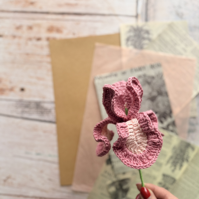 Iris et sa feuille (personnalisable pour créer votre bouquet)