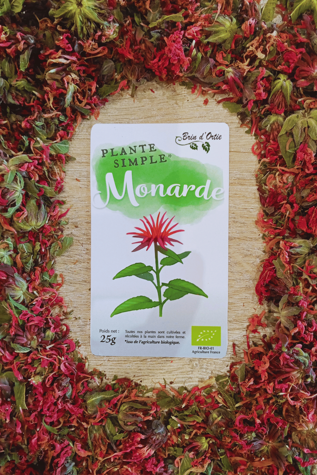 Fleur simple, Monarde