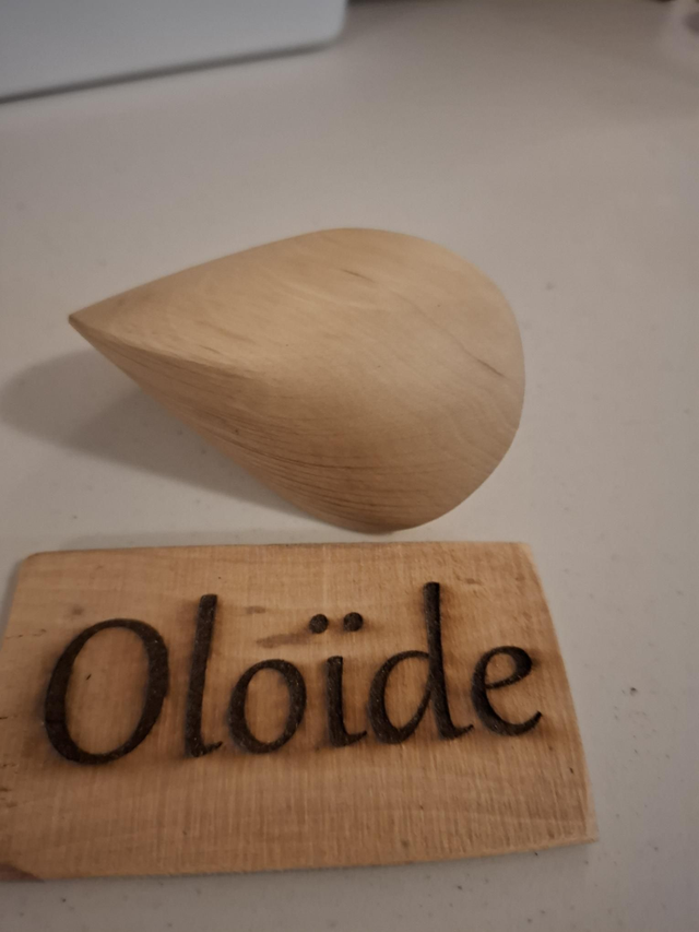 Oloïde van Steenbeuk