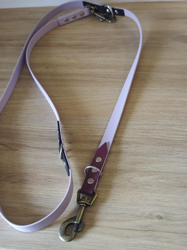 Laisse 19mm Multi position biothane