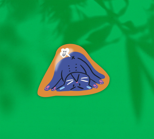 Sticker "Chat prout" 🐈💨