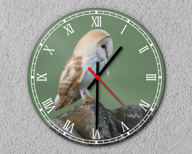 “Barn Owl” Clock   