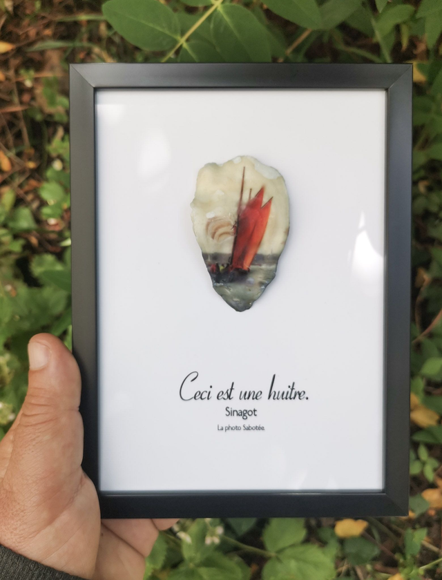 13x18 : Ceci est une huitre "Sinagot" f