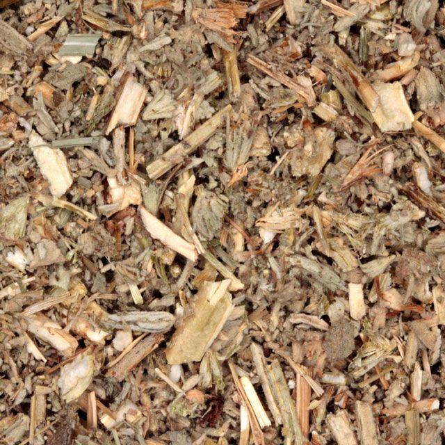 Malrove (horehound) (Marrubium vulgare) - BIO